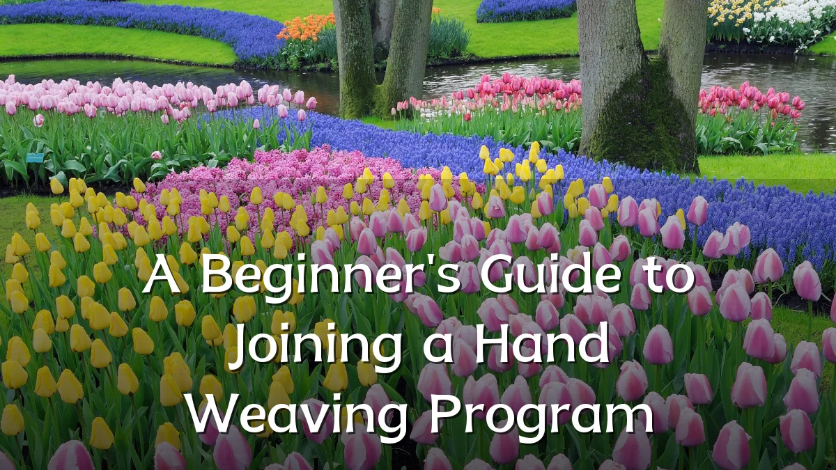A Beginner's Guide to Joining a Hand Weaving Program