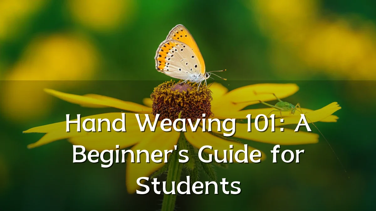 Hand Weaving 101: A Beginner's Guide for Students