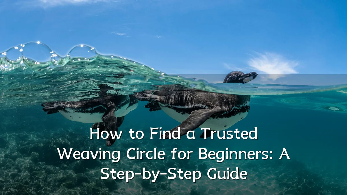 How to Find a Trusted Weaving Circle for Beginners: A Step-by-Step Guide