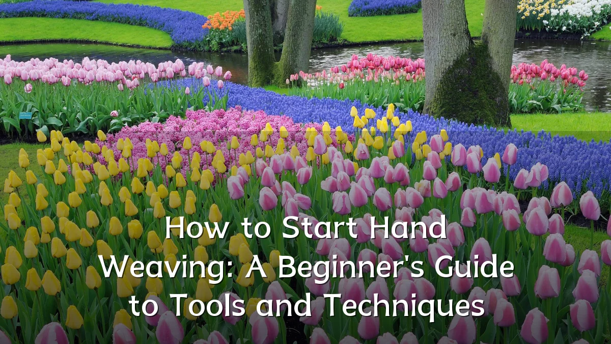 How to Start Hand Weaving: A Beginner's Guide to Tools and Techniques