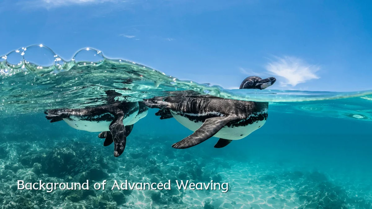 Background of Advanced Weaving