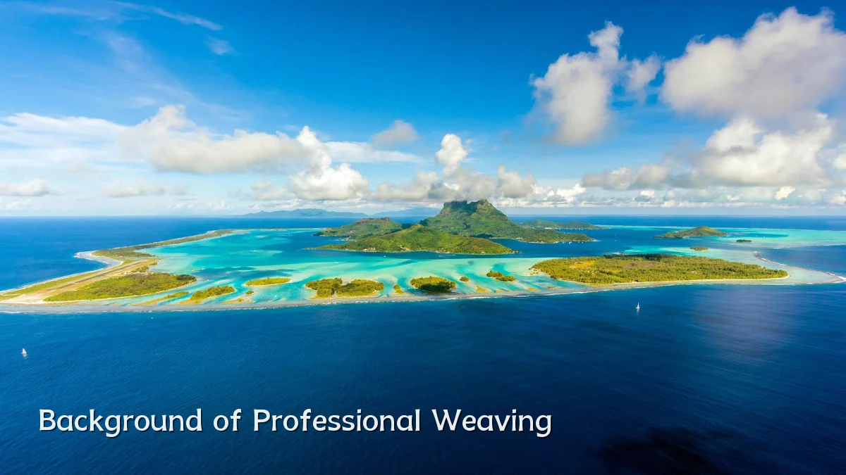 Background of Professional Weaving