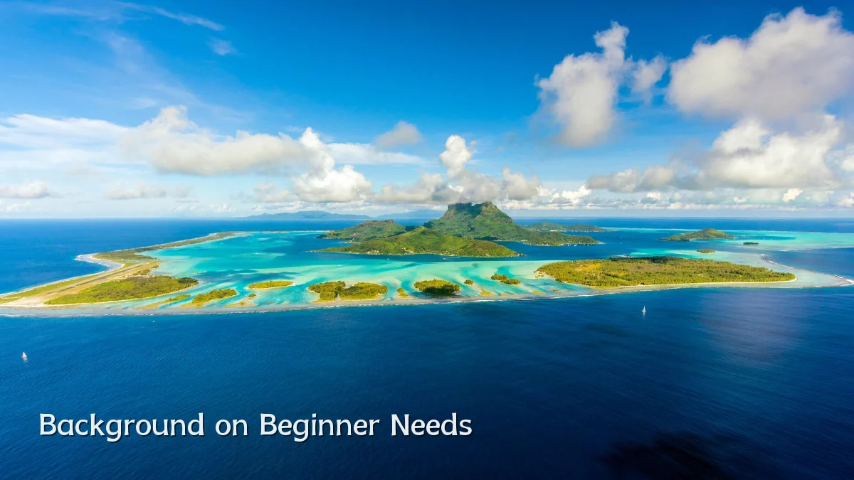 Background on Beginner Needs