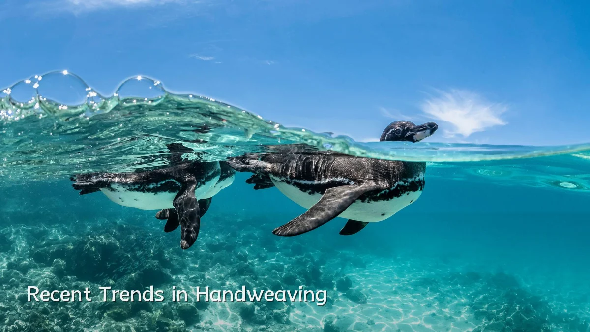 Recent Trends in Handweaving