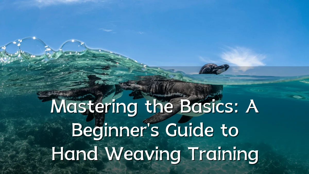 Mastering the Basics: A Beginner's Guide to Hand Weaving Training