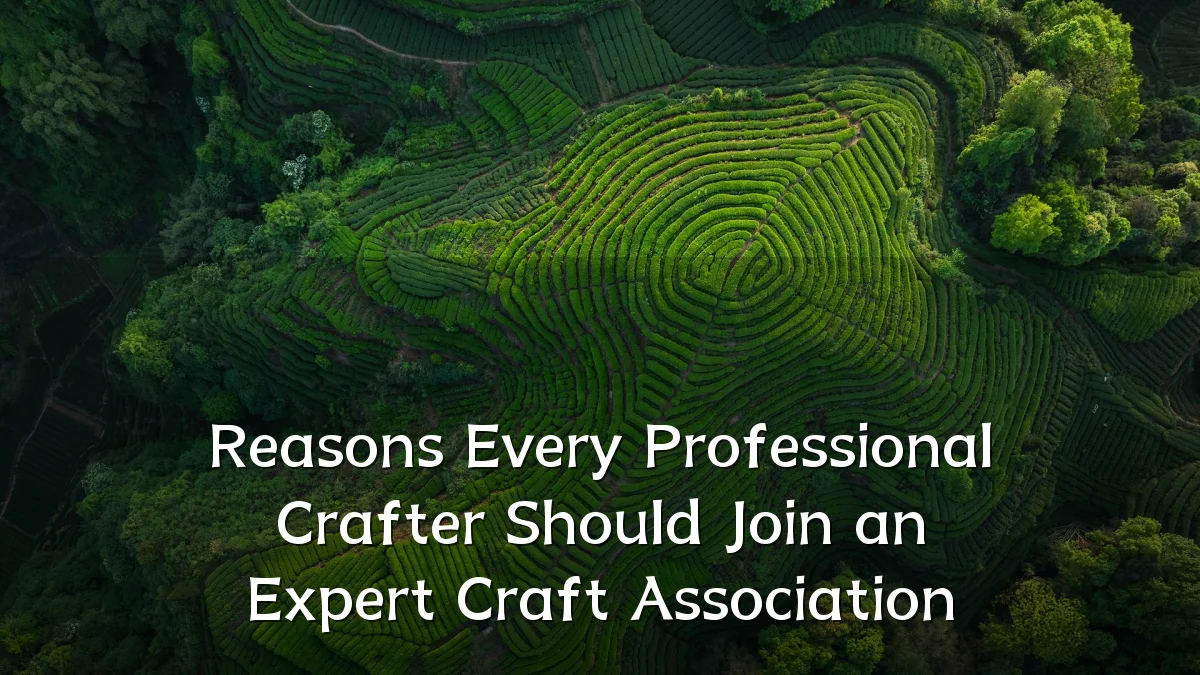 Reasons Every Professional Crafter Should Join an Expert Craft Association