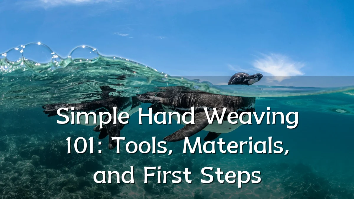 Simple Hand Weaving 101: Tools, Materials, and First Steps