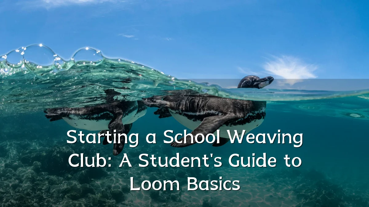 Starting a School Weaving Club: A Student's Guide to Loom Basics