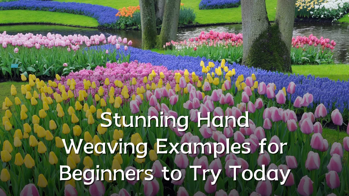Stunning Hand Weaving Examples for Beginners to Try Today