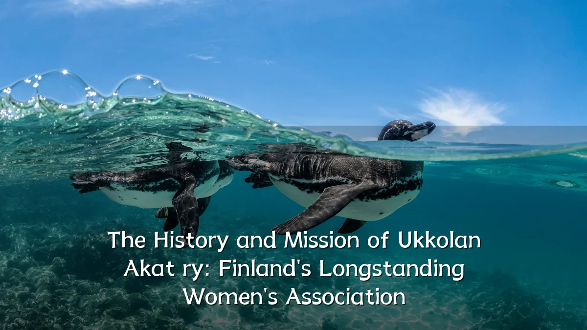 The History and Mission of Ukkolan Akat ry: Finland's Longstanding Women's Association