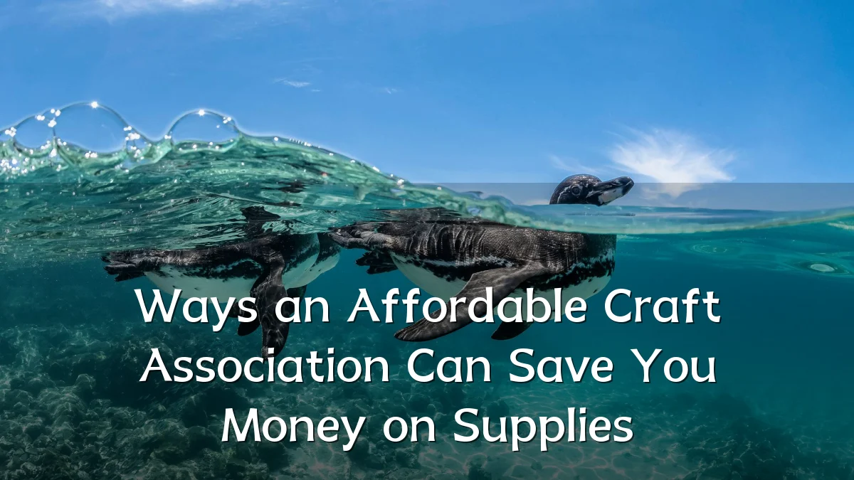Ways an Affordable Craft Association Can Save You Money on Supplies