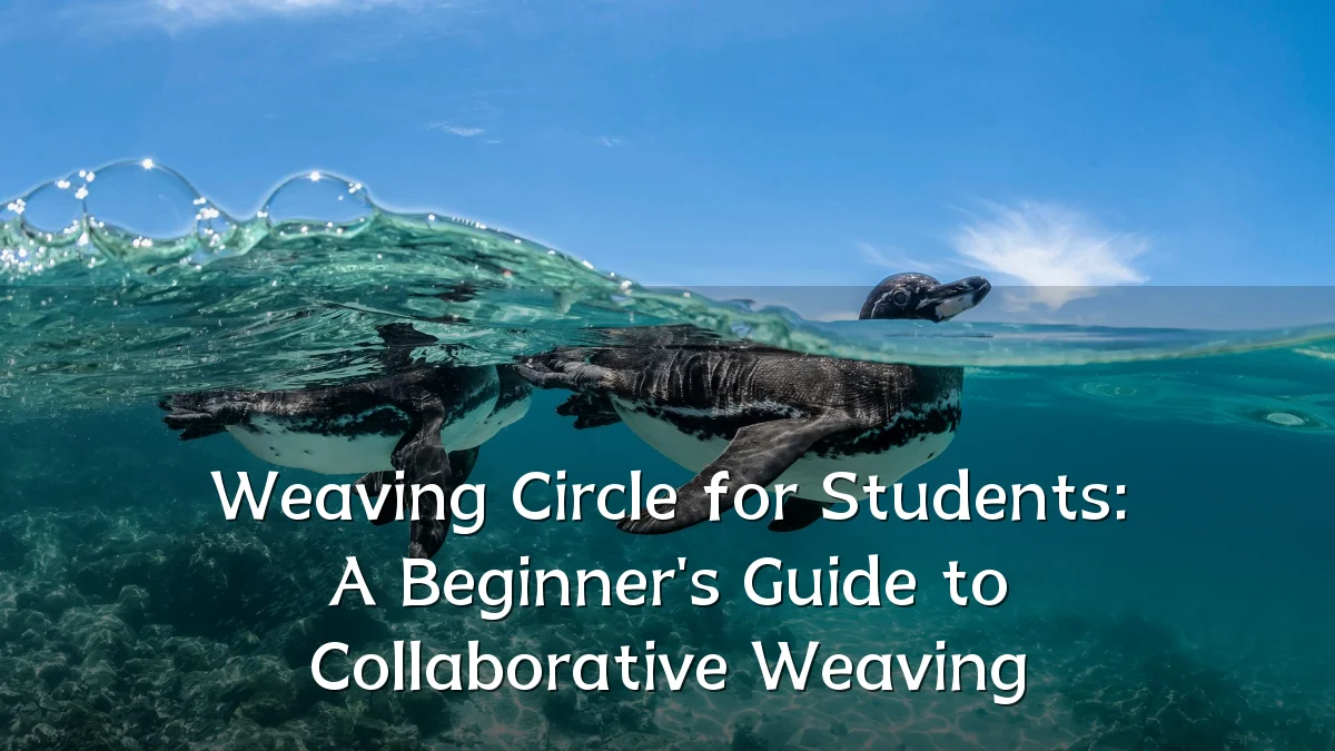Weaving Circle for Students: A Beginner's Guide to Collaborative Weaving