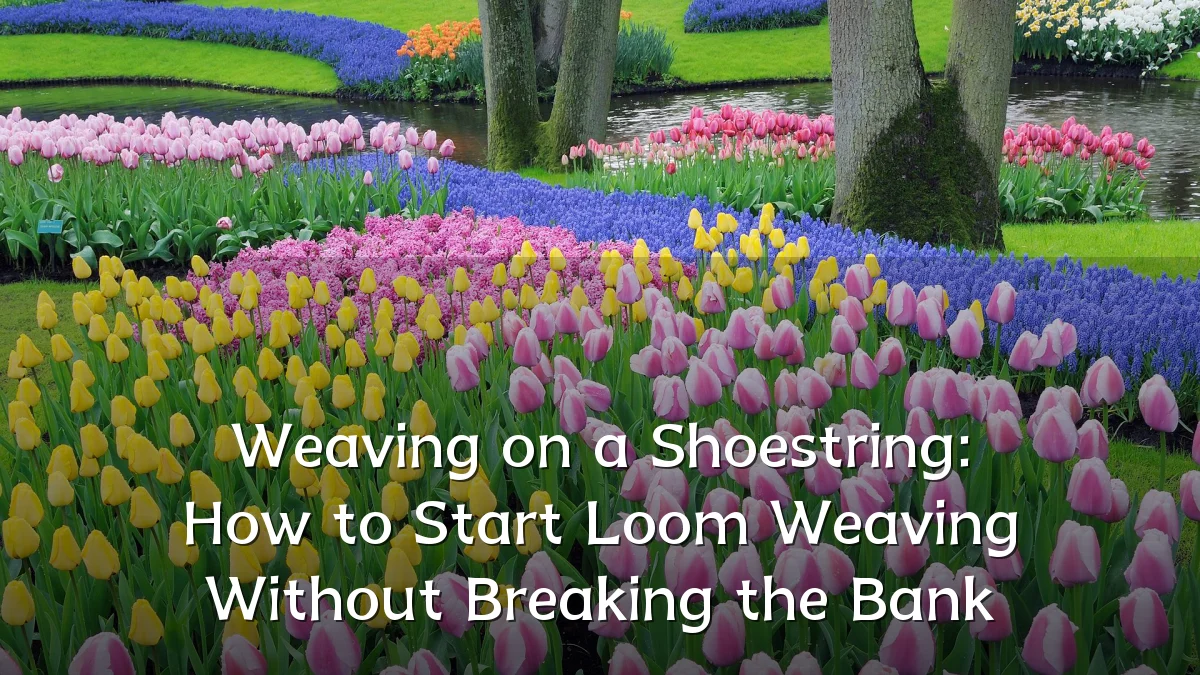 Weaving on a Shoestring: How to Start Loom Weaving Without Breaking the Bank