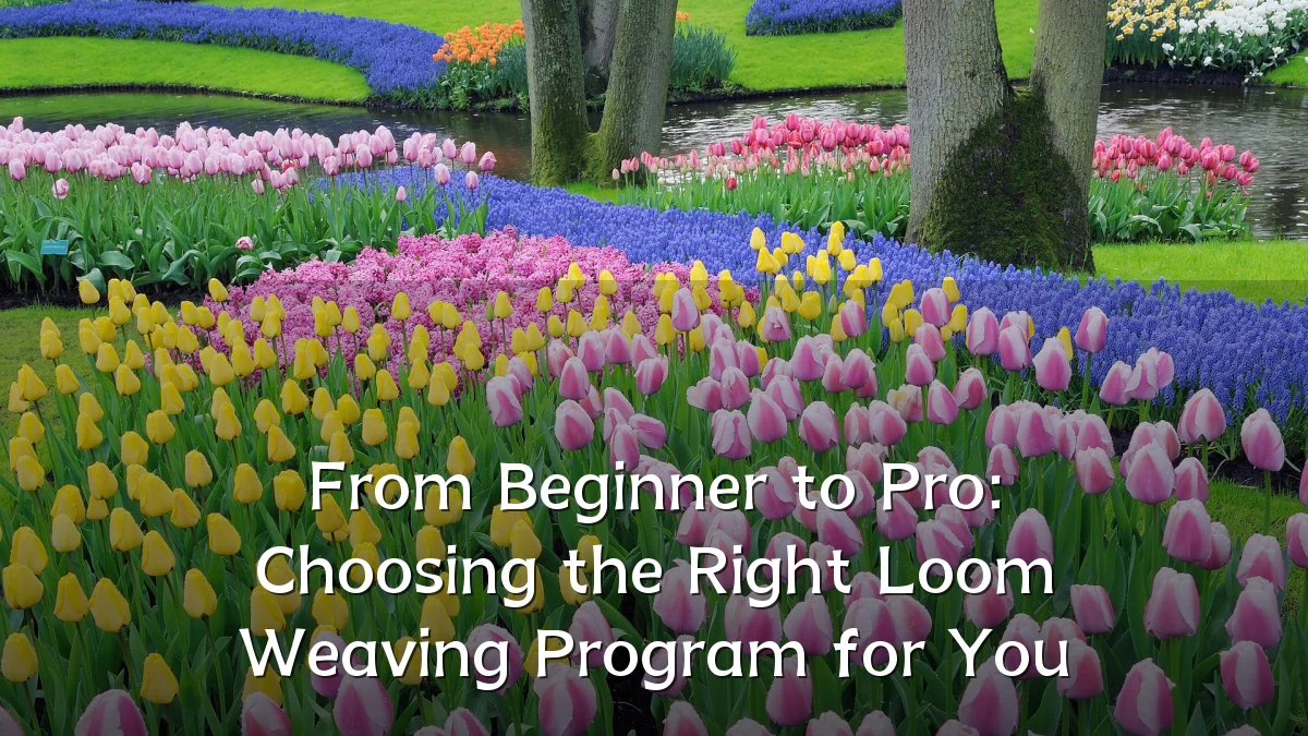 From Beginner to Pro: Choosing the Right Loom Weaving Program for You