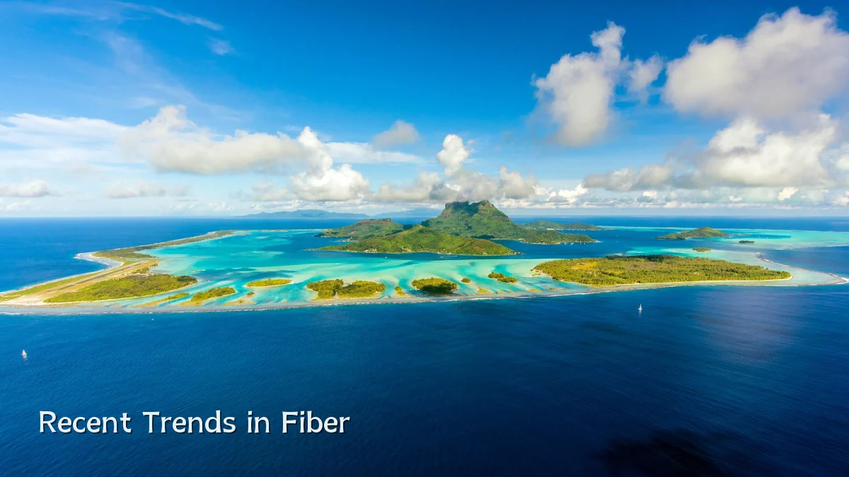 Recent Trends in Fiber