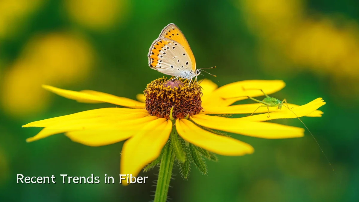 Recent Trends in Fiber