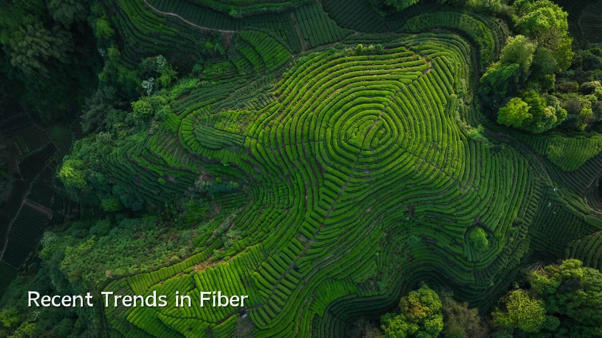 Recent Trends in Fiber