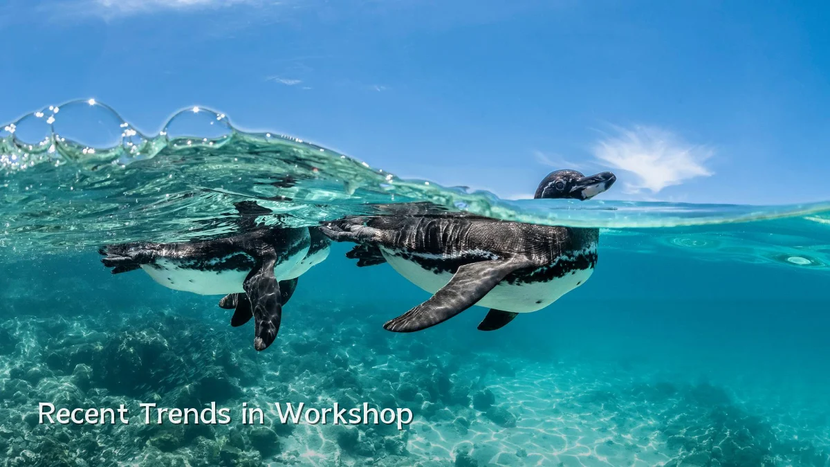 Recent Trends in Workshop