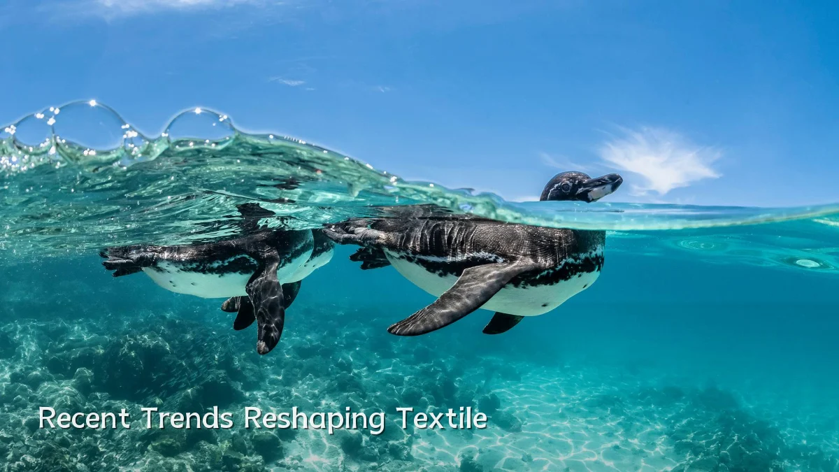 Recent Trends Reshaping Textile